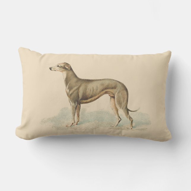 Coussin Rectangle Vintage Greyhound Whippet (Recto)