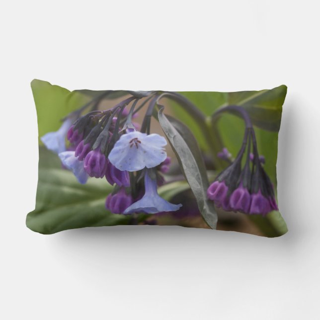 Coussin Rectangle Virginia Bluebells Fleurs sauvages (Recto)