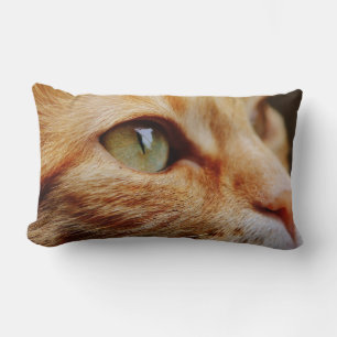 Coussin Rectangle Visage déterminé d'un chat de gingembre