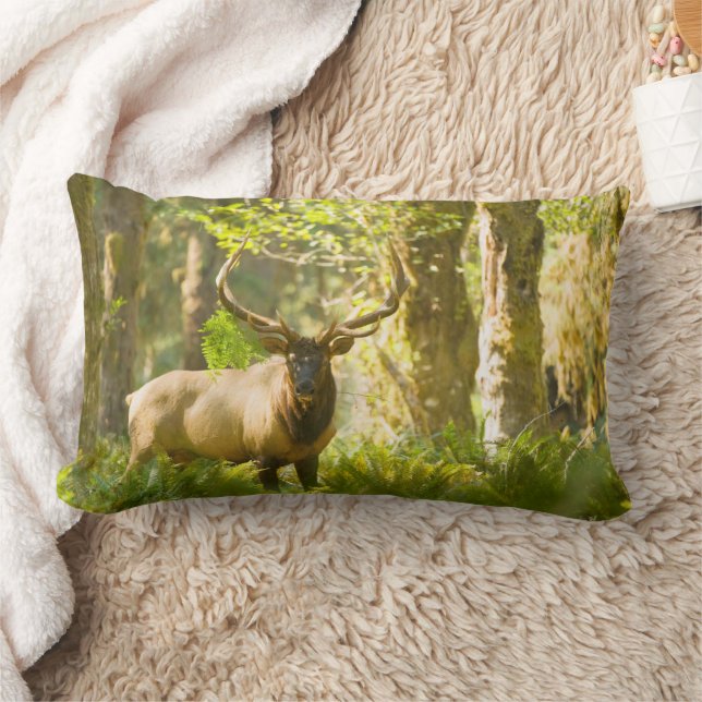 Coussin Rectangle Wapiti de Roosevelt | Parc national Olympique, Was (Couverture)