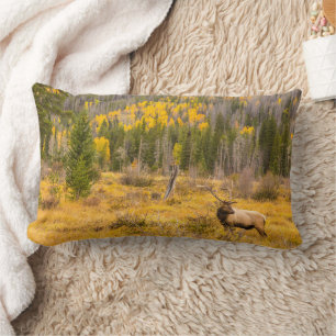 Coussin Rectangle Wapiti mâle   Parc national de Rocky Mountain Colo