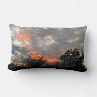 Winter Sunset Nature Paysage Photographie