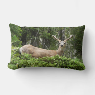 Coussin Rectangle Yosemite Deer Nature Photographie