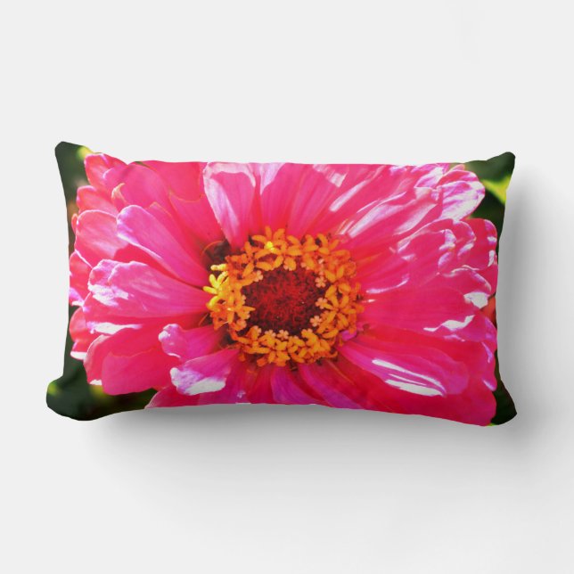 Coussin Rectangle Zinnia rose, marguerite rose, photo de fleur rose (Recto)