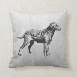 Coussin récupérateur de baie chesapeake