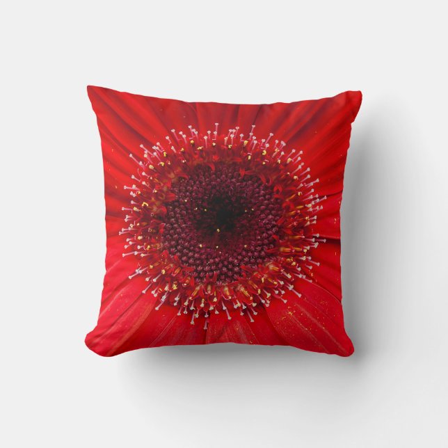 Coussin Red Daisy (Recto)