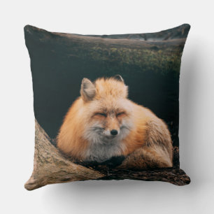 Coussin Red Fox dormant