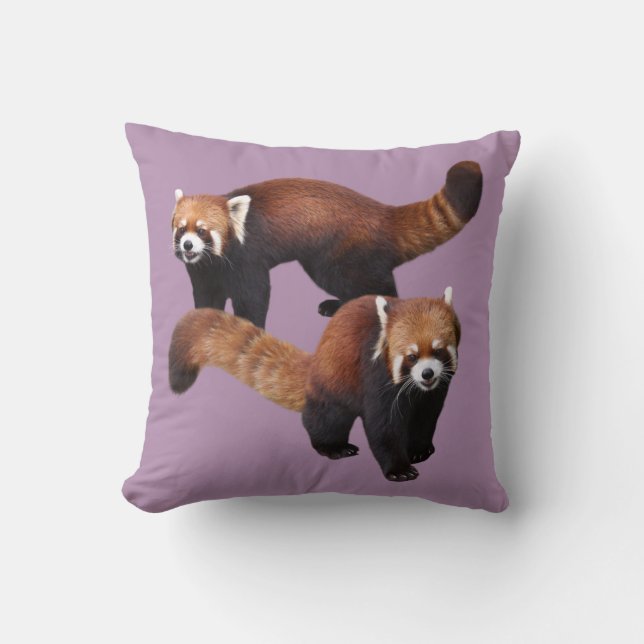 Coussin Red Panda (Recto)