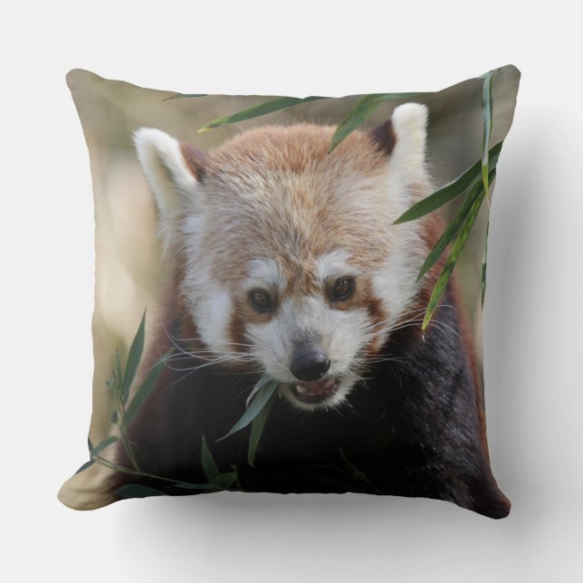 Coussin Red_Panda_2015_0311 (Recto)