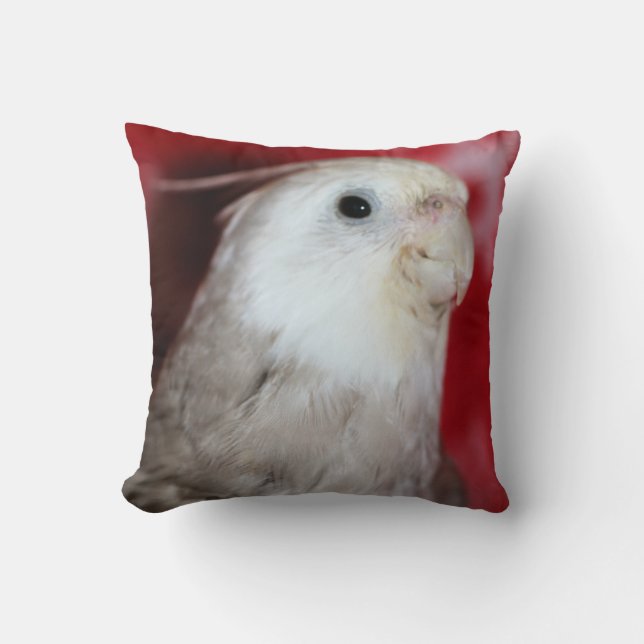 Coussin Reeples (Recto)