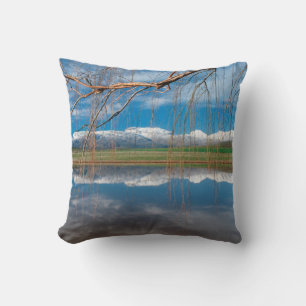 Coussin Réflexions hivernales. Ceres, district de Boland