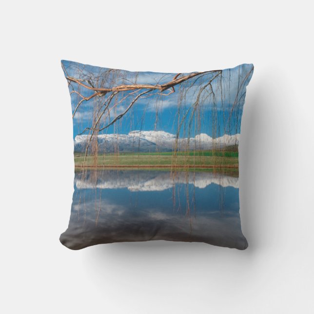 Coussin Réflexions hivernales. Ceres, district de Boland (Recto)