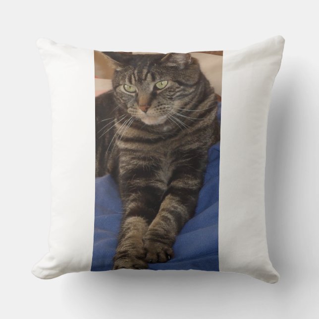 Coussin Regal Dave Polyester Cushion (Recto)