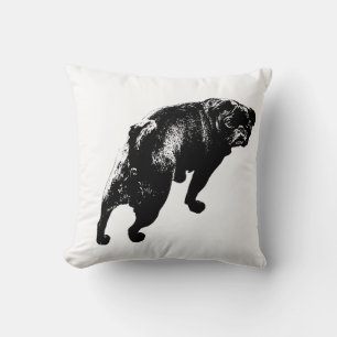 Coussin Regard Élevé, Assurance Calme