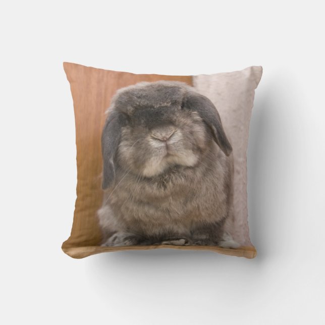 Coussin Regard fixe doux de lapin (Recto)