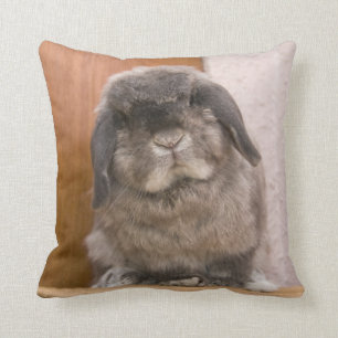 Coussin Regard fixe doux de lapin