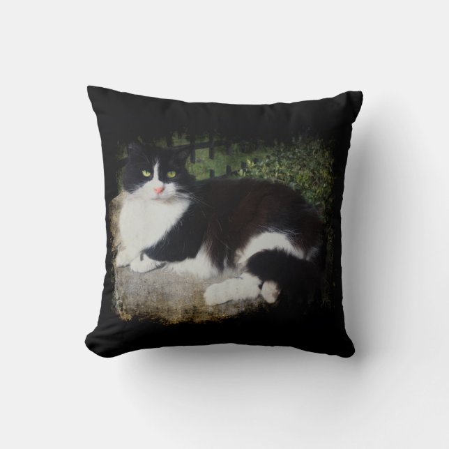 Coussin Reine du carreau de chat de jardin (Recto)