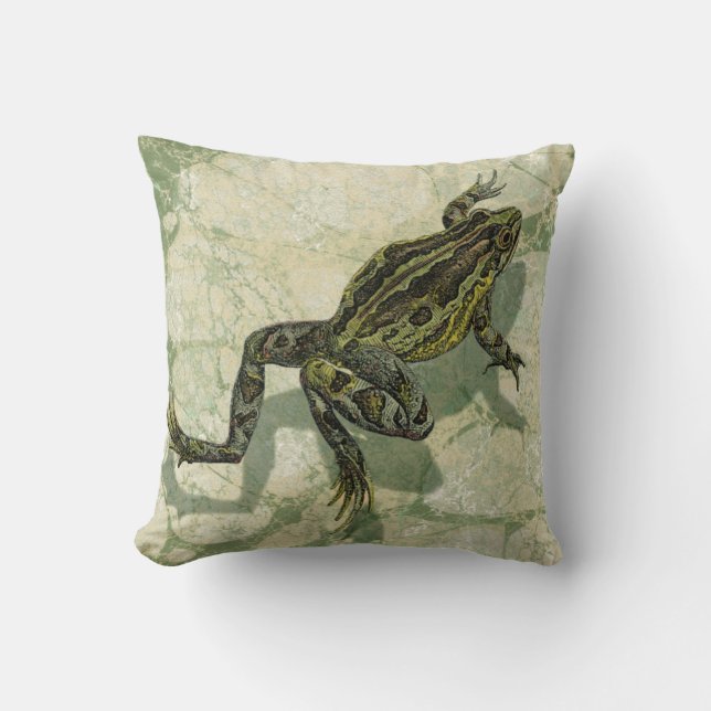 Coussin Remonter le crapaud dans l'eau (Recto)