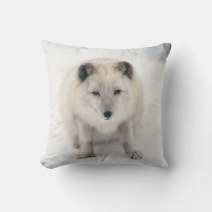 Coussin Renard arctique