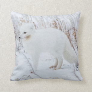 Coussin Renard arctique