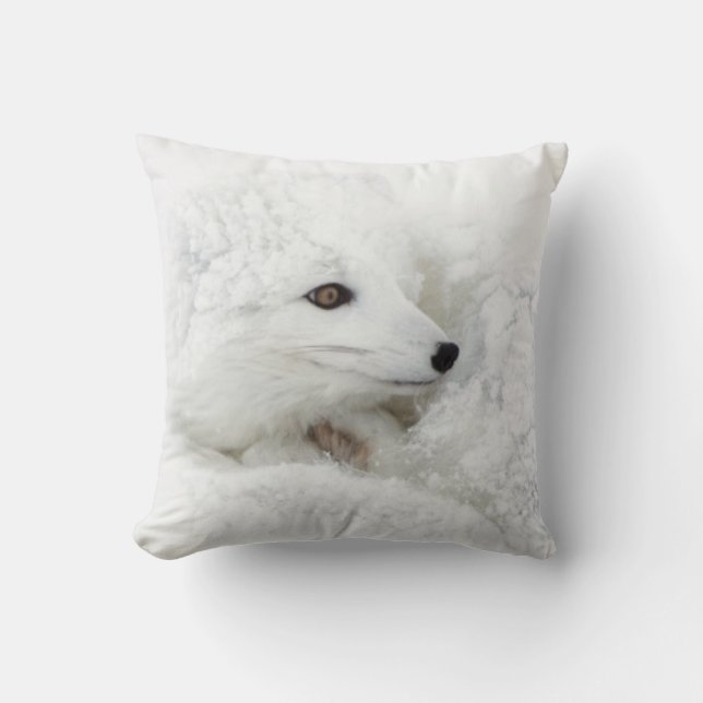 Coussin Renard arctique recroquevillé en hiver (Recto)