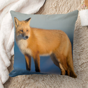 Coussin Renard Brown