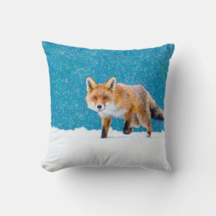 Coussin Renard en hiver. Renard rouge, Vulpes vulpes, reni