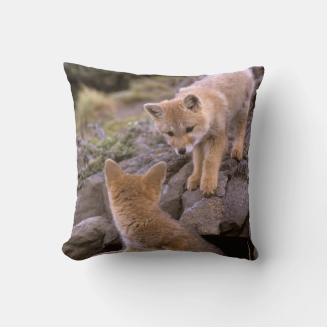 Coussin Renard gris sud-américain (Lycalopex griseus) coup (Recto)