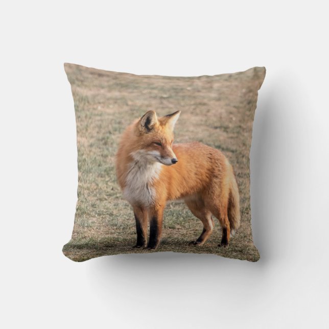 Coussin Renard rouge dans un champ (Recto)