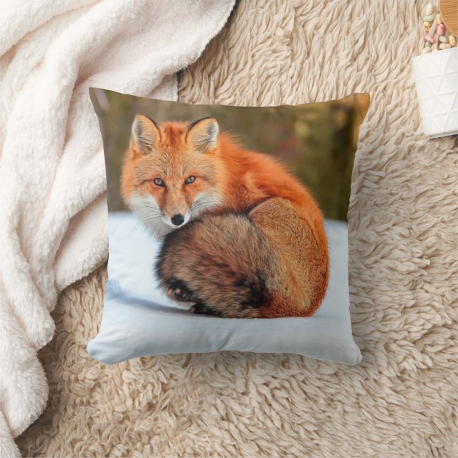 Coussin Renard roux dans la neige | Yukon (Couverture)
