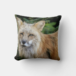 Coussin Renard sauvage