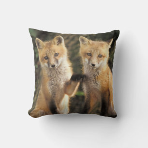 Coussin Renardeau roux devant terrier Vulpes vulpes)