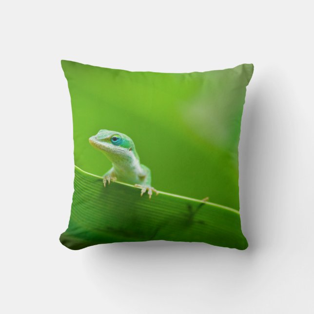 Coussin Rencontre du lézard vert (Recto)
