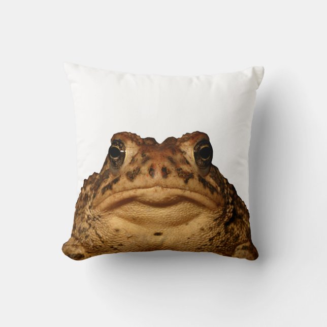 Coussin Repos avec un crapaud ! (Recto)