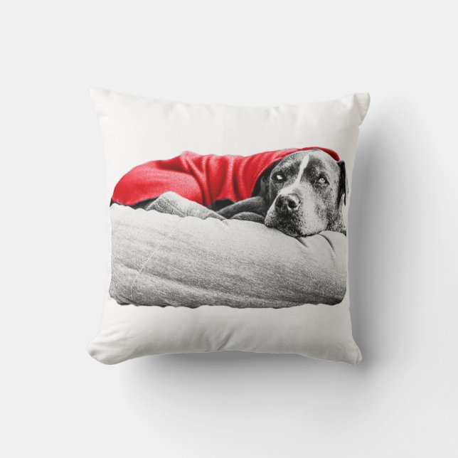 Coussin Repos d'octobre (Recto)