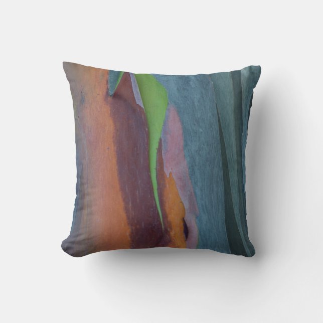 Coussin Résumé de l'arbre à gomme arc-en-ciel (Recto)