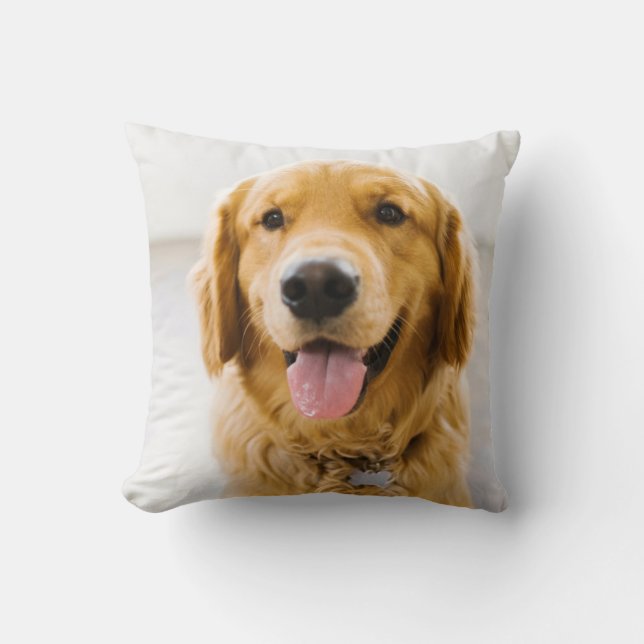 Coussin Retriever d'or souriant (Recto)