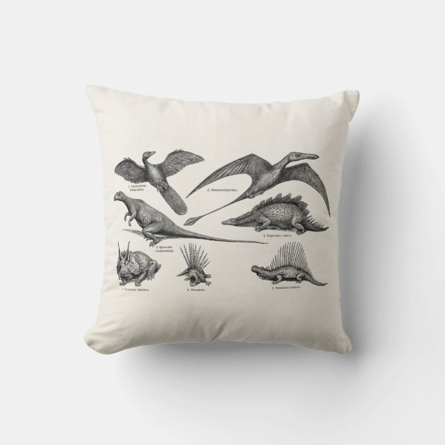 Coussin Rétros dinosaures d'illustration vintage de (Recto)