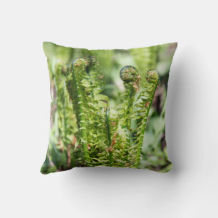 Coussin Réveil de la jeune fougère dans le jardin