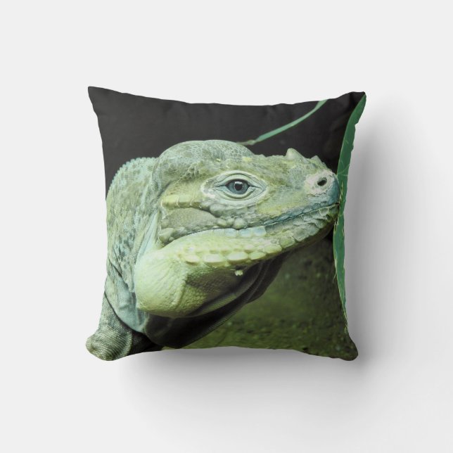 Coussin Rhinoceros Iguana (Recto)