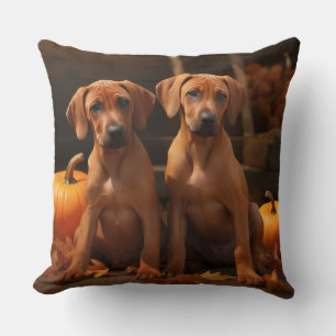 Coussin Rhodesian Ridgeback Chiot Automne Citrouille délic