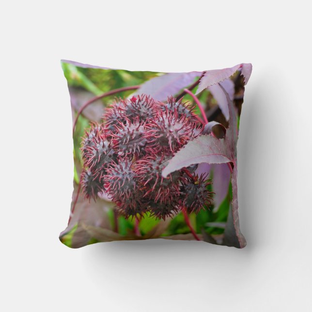 Coussin Ricinus communis Thon Cushion (Recto)