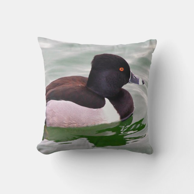 Coussin Ring Necked Duck (Recto)