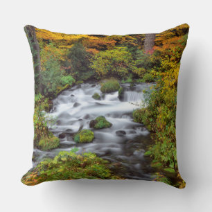 Coussin Rivière à travers la forêt, Automne, Oregon