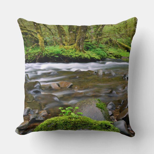 Coussin Rivière dans la forêt verte, Oregon (Recto)