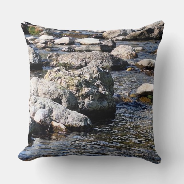Coussin Rivière des Monts Carpates - Impression de Nature  (Recto)