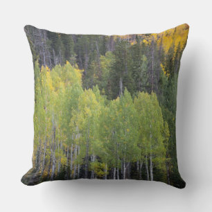 Coussin Rivière Provo et trembles