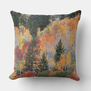 Coussin Rivière Provo et trembles