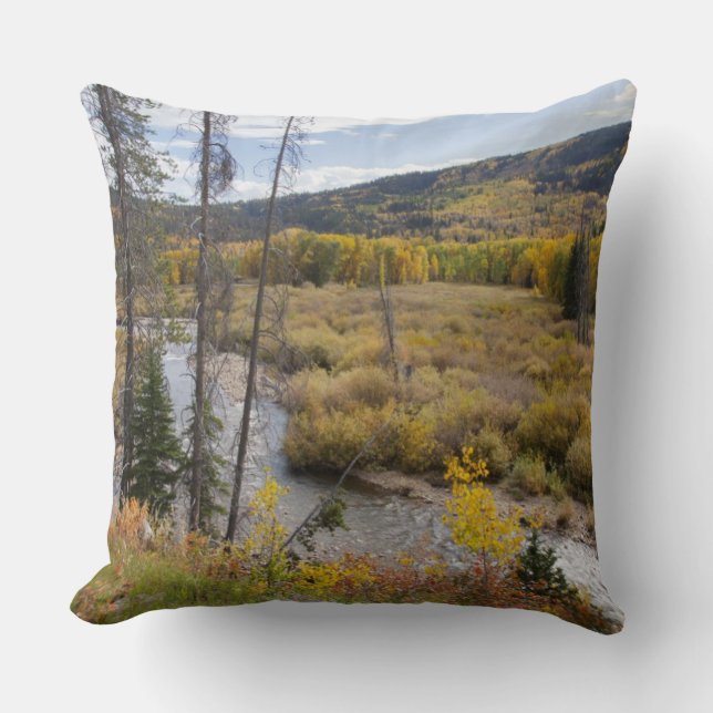 Coussin Rivière Provo et trembles (Recto)