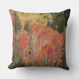 Coussin Rivière Provo et trembles